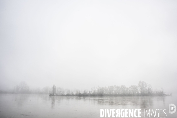 Paysages du bord Loire dans le brouillard