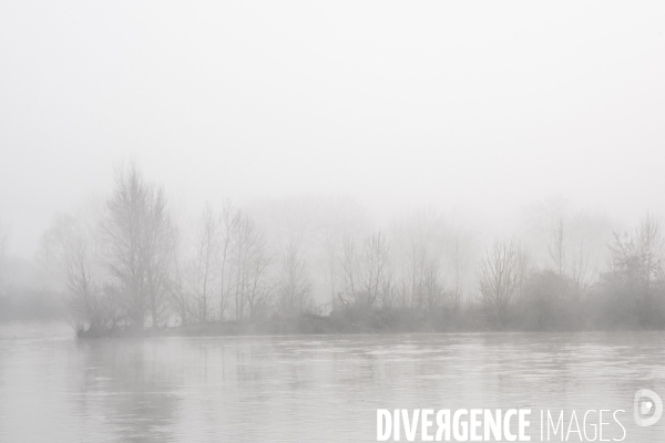 Paysages du bord Loire dans le brouillard