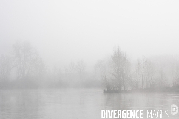 Paysages du bord Loire dans le brouillard