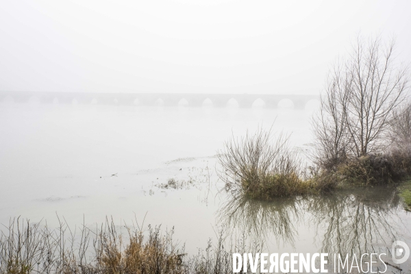 Paysages du bord Loire dans le brouillard