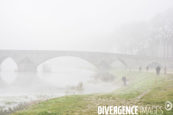 Paysages du bord Loire dans le brouillard