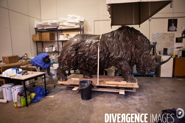 Ateiers de taxidermie du muséum d histoire naturelle à Paris