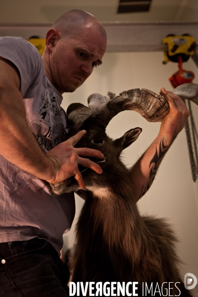 Ateiers de taxidermie du muséum d histoire naturelle à Paris