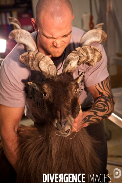 Ateiers de taxidermie du muséum d histoire naturelle à Paris