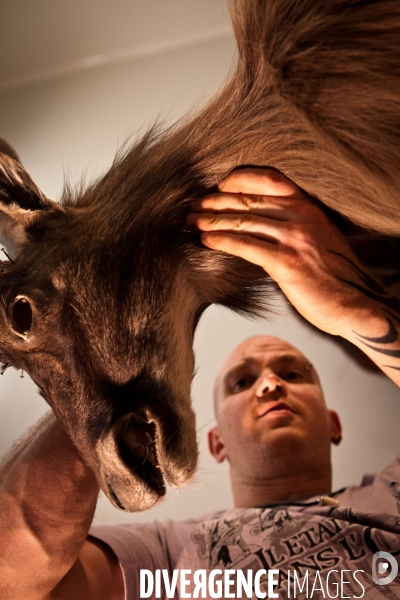 Ateiers de taxidermie du muséum d histoire naturelle à Paris