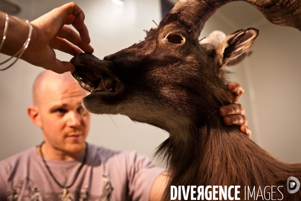 Ateiers de taxidermie du muséum d histoire naturelle à Paris