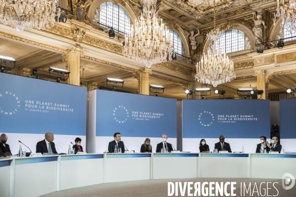 Elysée, One Planet Summit