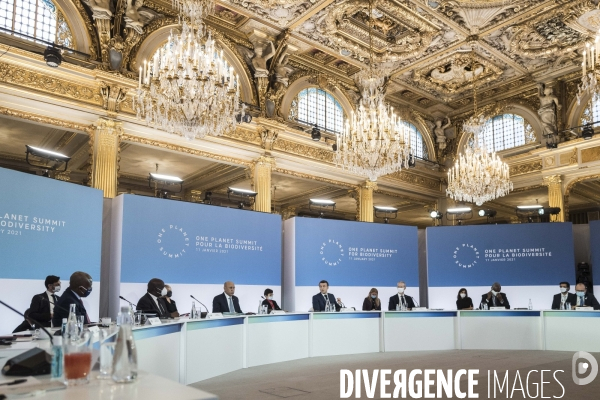 Elysée, One Planet Summit