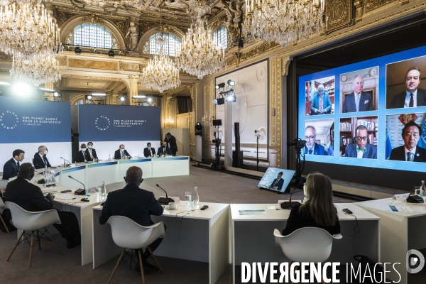 Elysée, One Planet Summit