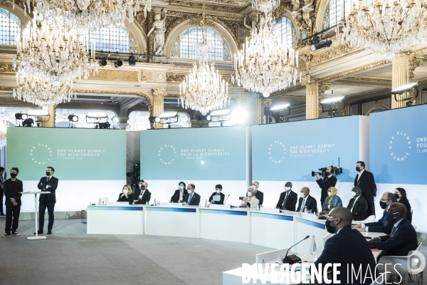 Elysée, One Planet Summit