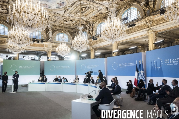 Elysée, One Planet Summit