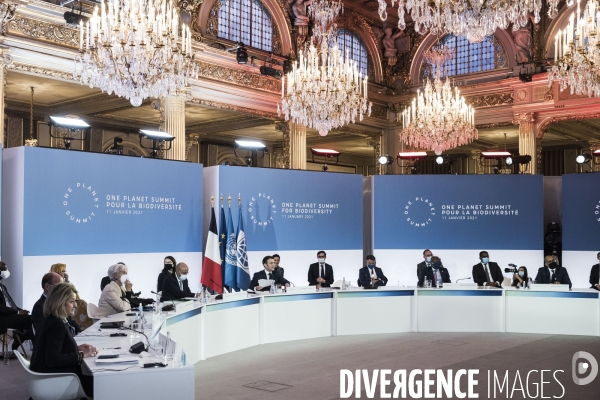 Elysée, One Planet Summit