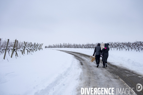 Neige en Alsace