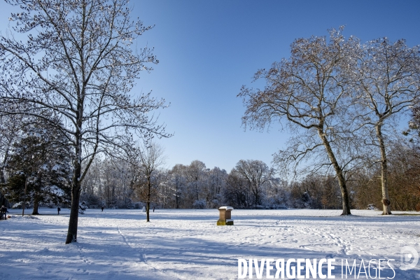 Neige en Alsace