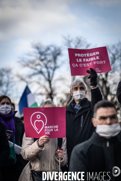 Manifestation Contre l avortement