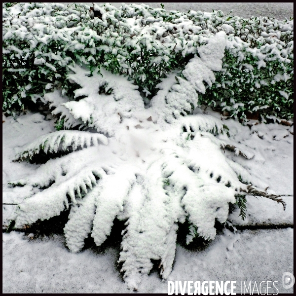 Neige à Paris