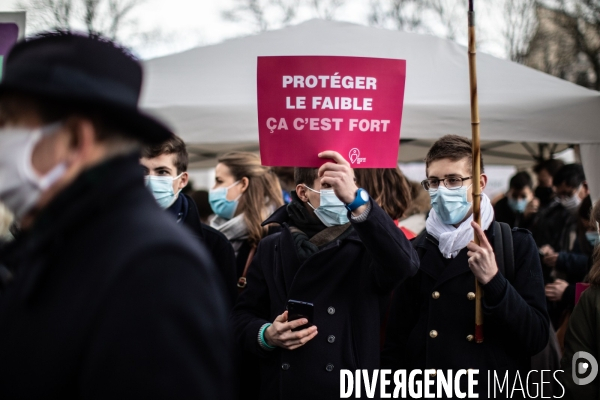 Manifestation Contre l avortement