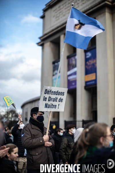 Manifestation Contre l avortement