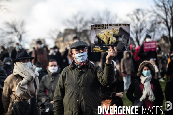 Manifestation Contre l avortement