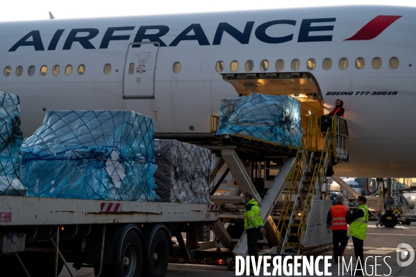 Air France cargo pendant le second confinement.