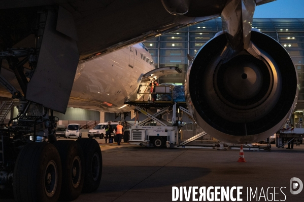 Air France cargo pendant le second confinement.