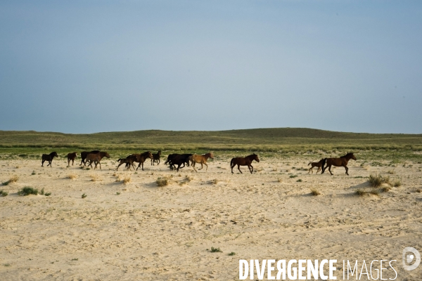 Désertification, région de Chagannor, Mongolie Intérieure, Chine - Desertification, Chagannor area, Inner Mongolia, China