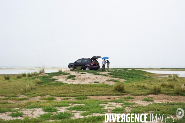 Désertification, région de Chagannor, Mongolie Intérieure, Chine - Desertification, Chagannor area, Inner Mongolia, China