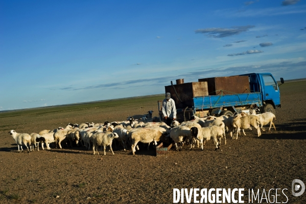 Désertification, région de Chagannor, Mongolie Intérieure, Chine - Desertification, Chagannor area, Inner Mongolia, China