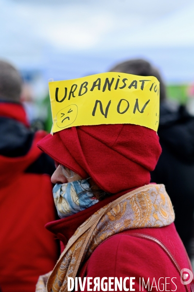 Rassemblement contre la future gare du triangle de Gonesse