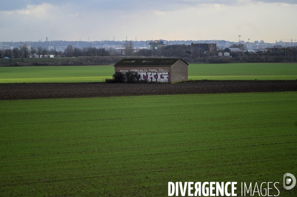 Rassemblement contre la future gare du triangle de Gonesse