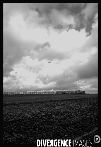 Avion dans le ciel