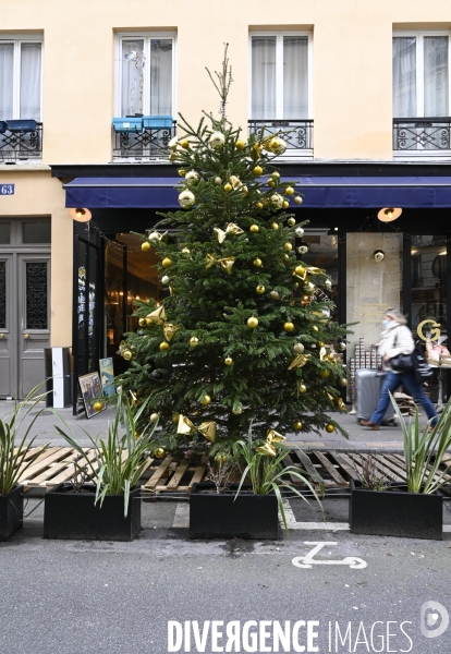 POINT RECYCLAGE DE SAPINS jetés après les fêtes à Paris.