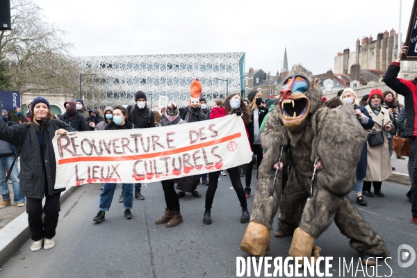 Manifestation du monde de la culture à Nantes