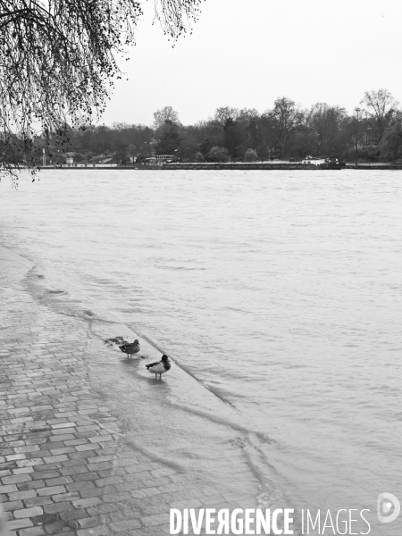 Le niveau de La Seine monte pendant que les parisiens profitent de la voie sur berges.