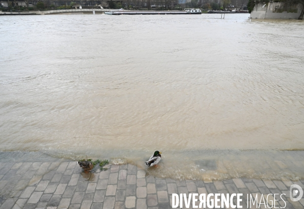 Le niveau de La Seine monte pendant que les parisiens profitent de la voie sur berges.