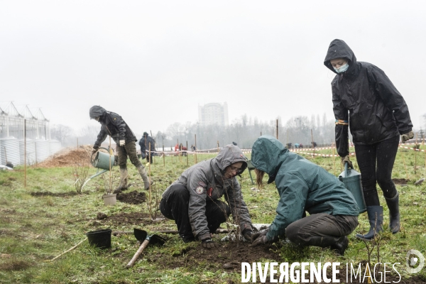 Les champs des villes (épisode 2)