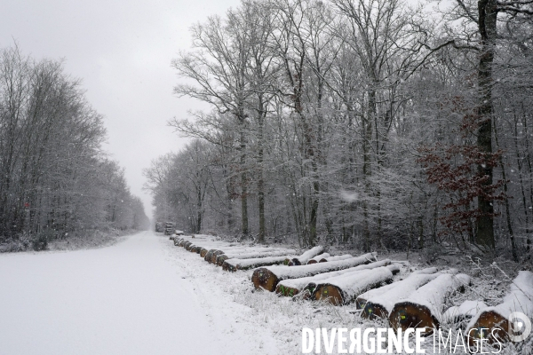 Illustration neige en Normandie