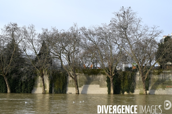 Le niveau de La Seine monte pendant que les parisiens profitent de la voie sur berges.