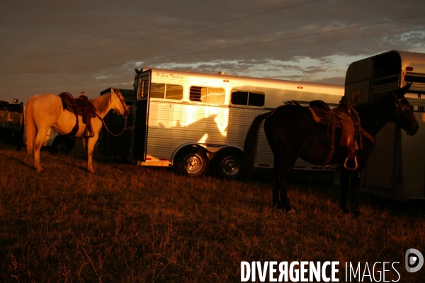 South Dakota Buffalo Round Up