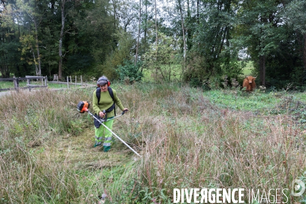 Bienvenue à Guipel