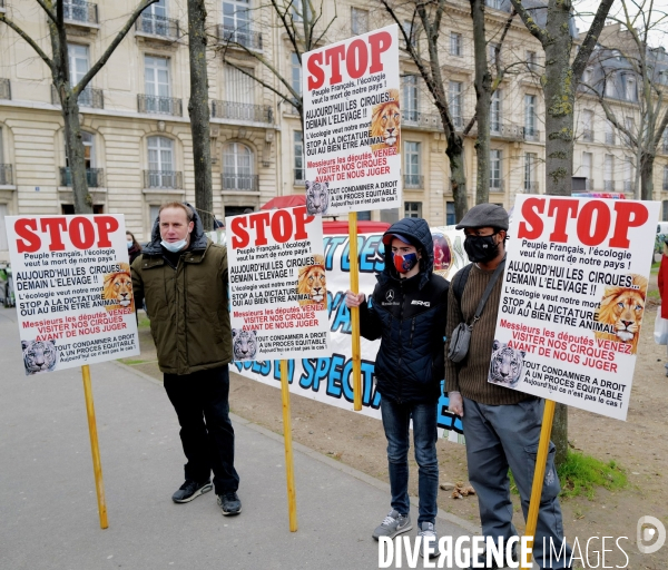 Manifestation contre l interdiction des animaux dans les cirques