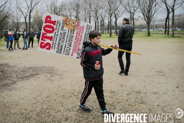 Manifestation contre l interdiction des animaux dans les cirques