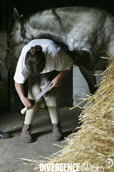 Les Haras