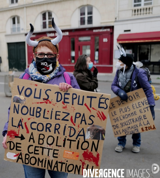 Manifestation pour la defense des animaux