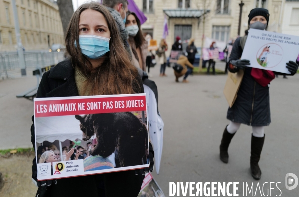 Manifestation pour la defense des animaux