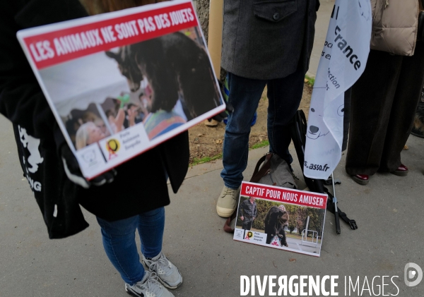 Manifestation pour la defense des animaux