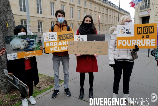 Manifestation pour la defense des animaux