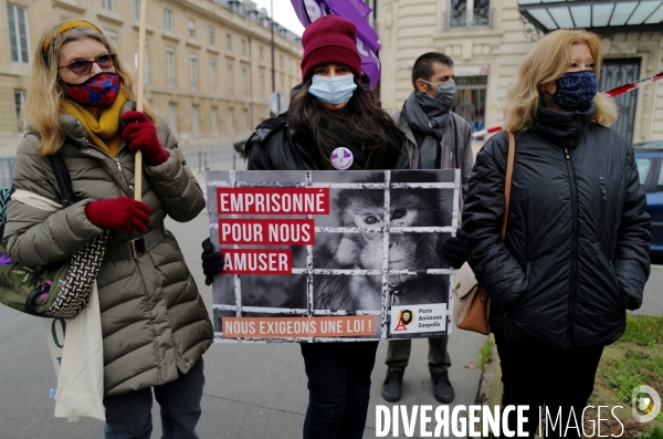 Manifestation pour la defense des animaux