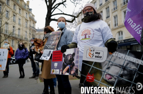 Manifestation pour la defense des animaux