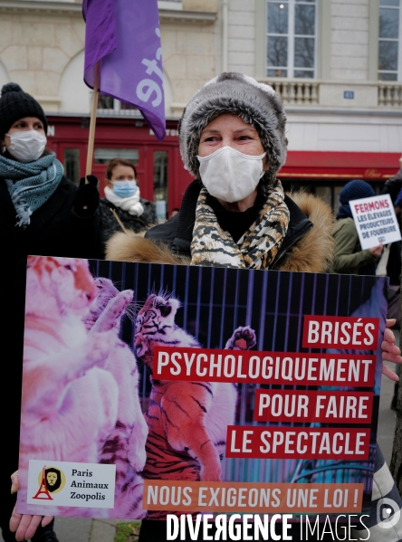 Manifestation pour la defense des animaux